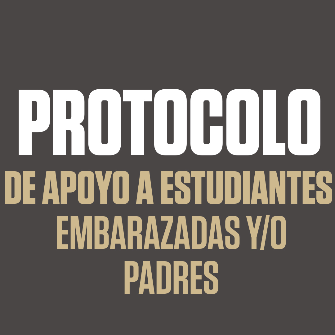 protocolo_apoyo
